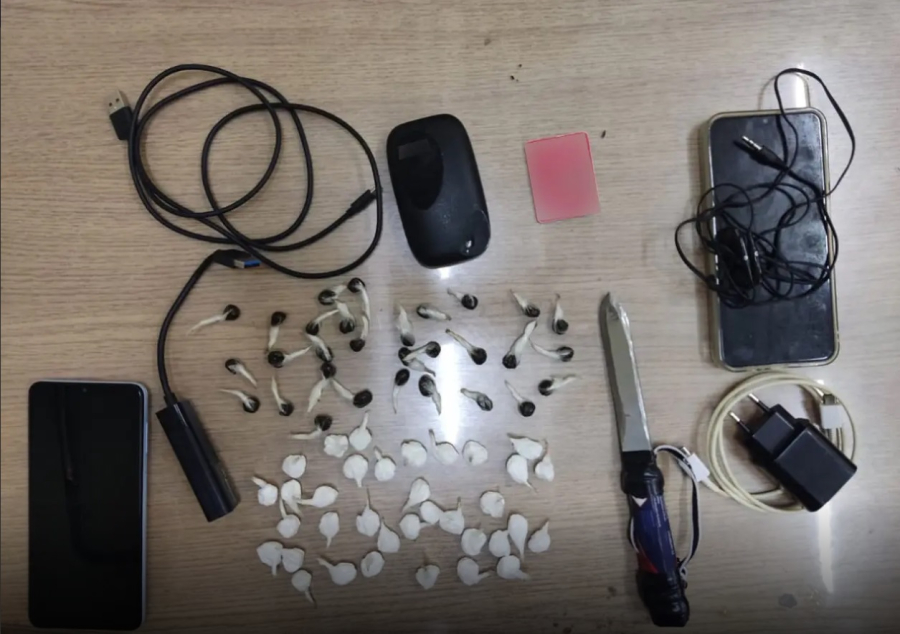 Έφοδος σε 7 κελιά στις φυλακές Κορυδαλλού - Τι βρήκαν οι αστυνομικοί