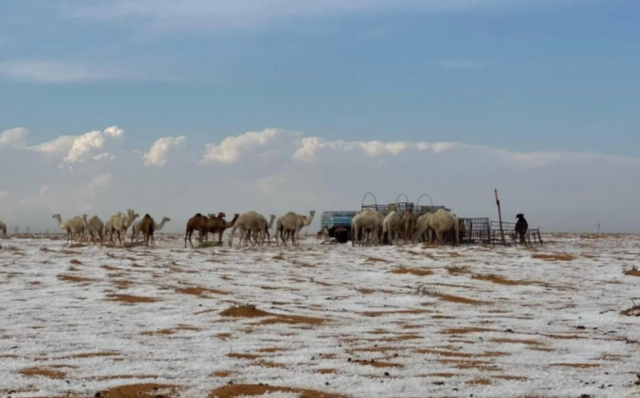 Χιόνισε για πρώτη φορά στην ιστορία στην έρημο της Σαουδικής Αραβίας