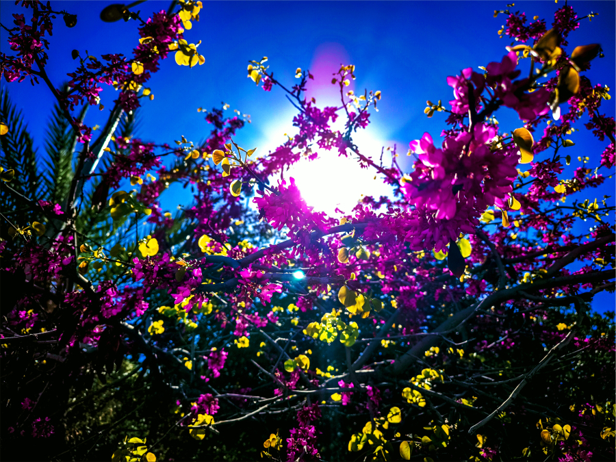 Κολυδάς για καιρό: Αυτές είναι οι ιδανικές συνθήκες για τον οργανισμό