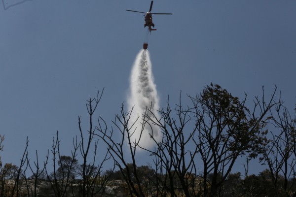 Σε δύσβατο σημείο η πυρκαγιά στα Ροδινά Ηλείας