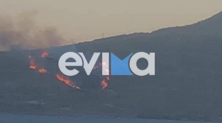 Μεγάλη φωτιά τώρα στην Εύβοια