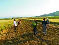 Ποιοι αγρότες έχουν απαλλαγή από το τέλος επιτηδεύματος
