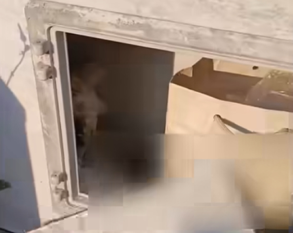 Ημαθία: 36χρονος έκρυβε ναρκωτικά στο μνήμα συγγενή του (Βίντεο)