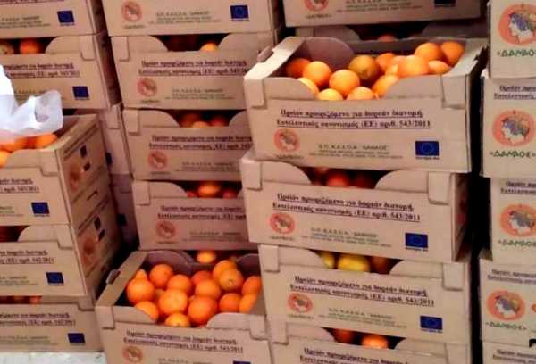 Δωρεάν διανομή φρούτων θα πραγματοποιήσει ο Δήμος Χαλανδρίου