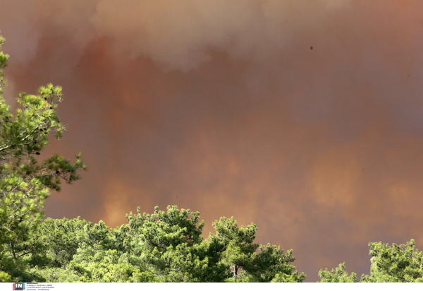 Πολύ υψηλός κίνδυνος φωτιάς το Σάββατο σε τέσσερις περιφέρειες
