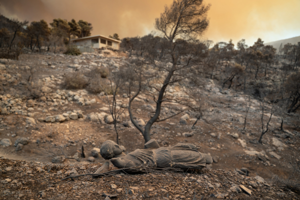 Φωτιά στη Δυτική Αττική: 15 φωτογραφικά κλικ της επόμενης ημέρας μετά την καταστροφή