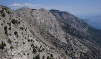 Εύβοια: Κατολίσθηση στο όρος Καντήλι μετά τον σεισμό των 5,2 Ρίχτερ (Βίντεο)