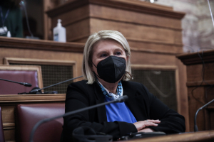 Βούλτεψη: Περιμένουμε 8 εκατομμύρια μετανάστες στην ΕΕ (βίντεο)
