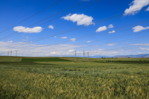 Διευκρινιστική εγκύκλιος: Πώς θα γίνει η πληρωμή αγροτεμαχίων έως 20 στρ. σε προβληματικές δηλώσεις ΚΑΕΚ