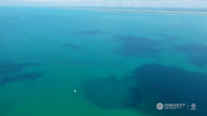 Οι ψαράδες παρατήρησαν μια ασυνήθιστα ήρεμη θαλάσσια περιοχή, οπότε οι επιστήμονες κατέβασαν τα όργανα τους και ανακάλυψαν μια σπηλιά... χωρίς πυθμένα