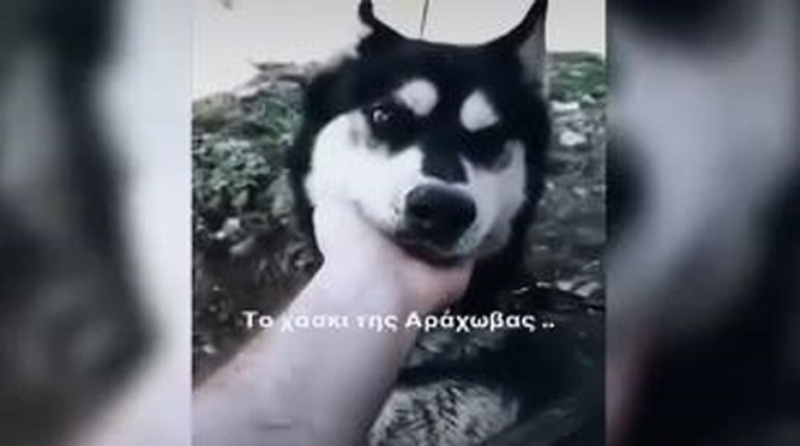 Yπόθεση Όλιβερ: «Ξέρουμε τον δράστη της κακοποίησης, έχει "γερό δόντι" σε εισαγγελείς»