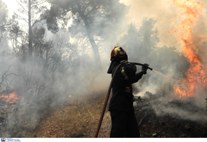 Φωτιά στη Νεάπολη Ηλείας, πυροσβέστης μεταφέρθηκε στο Κέντρο Υγείας