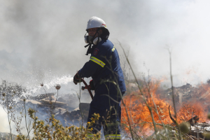 Νέα φωτιά στη Μαγνησία, μήνυμα από το 112 για εκκένωση