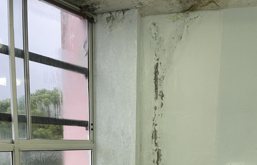 Καλαμάτα: Ταβάνια που στάζουν και μάθημα σε τάξεις με κουβάδες έφερε η κακοκαιρία (φωτό)