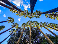 Αίθριος ο καιρός σήμερα - Επιδείνωση από τα ξημερώματα με έντονα φαινόμενα και πτώση θερμοκρασίας