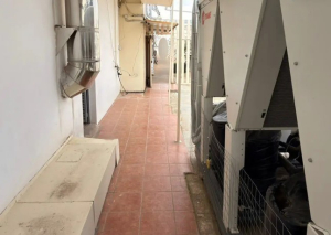 Αμπελόκηποι: Αρχιτέκτονας, CEO εταιρείας ο 55χρονος με το μαντρί σε ταράτσα