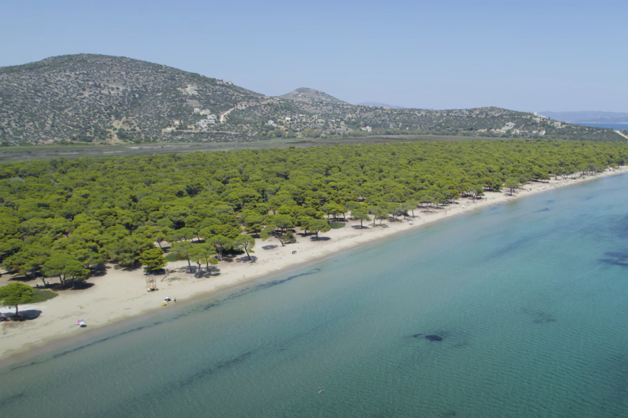 Αυτή είναι η καλύτερη παραλία της Αθήνας – Ποια είναι η χειρότερη