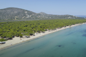 Αυτή είναι η καλύτερη παραλία της Αθήνας – Ποια είναι η χειρότερη