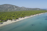 Αυτή είναι η καλύτερη παραλία της Αθήνας – Ποια είναι η χειρότερη