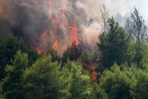 Συλλήψεις και πρόστιμα για πρόκληση πυρκαγιών σε Αττική, Χαλκιδική και Φάρσαλα