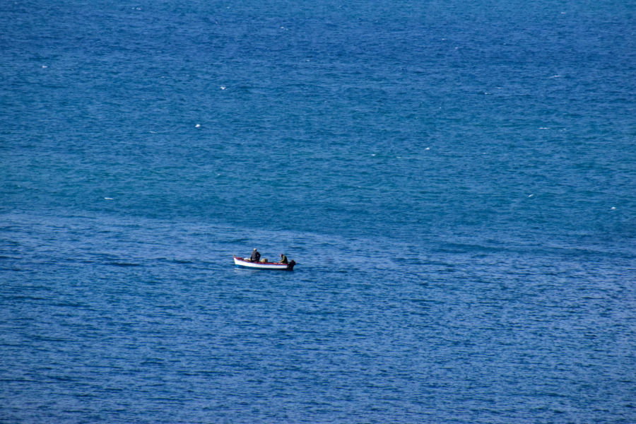 EUROKINISSI - ΒΑΣΙΛΗΣ ΠΑΠΑΔΟΠΟΥΛΟΣ