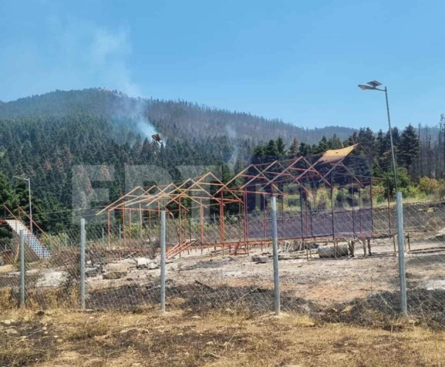 Φωτιά στο Φενεό: Το σημείο μηδέν που ξεκίνησαν οι φλόγες - Ντοκουμέντο από τις θερμές ετοιμασίες για το πάρτι στο δάσος