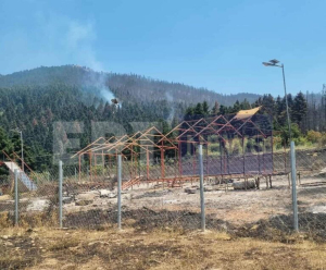Φωτιά στο Φενεό: Το σημείο μηδέν που ξεκίνησαν οι φλόγες - Ντοκουμέντο από τις θερμές ετοιμασίες για το πάρτι στο δάσος