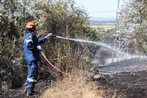 Μάχη με τις φλόγες δίνουν οι Πυροσβέστες - Ενεργά μέτωπα σε Κέρκυρα, Θεσσαλονίκη και Ρόδο (Βίντεο)