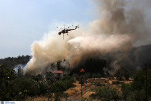 Πύρινη κόλαση στην Άνδρο: Ενισχύονται συνεχώς οι δυνάμεις, εκκενώνονται οικισμοί (βίντεο)