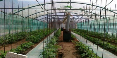 Αίτηση αποπεράτωσης κατασκευής θερμοκηπίου