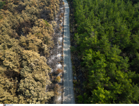 Φωτιές 2023: Κάηκαν πάνω από 4 δισ. στρέμματα - 6,5 δισ. τόνοι διοξειδίου του άνθρακα και 250 νεκροί