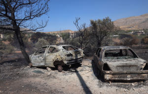 Φωτιά τώρα: Μάχη με τις αναζωπυρώσεις - Καταγγελία για εμπρησμό