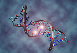 Παγκόσμια Ημέρα DNA: πως το «διάβασμα» του γενετικού υλικού άλλαξε τον κόσμο μας