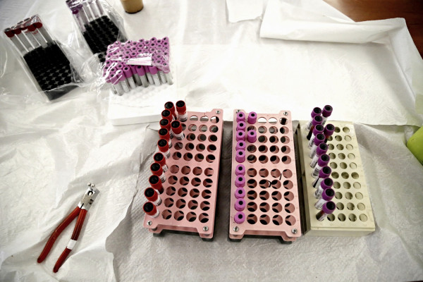 Παγκόσμια Ημέρα Εθελοντή Αιμοδότη 2019 - Bloody Festival και εορταστικές εκδηλώσεις