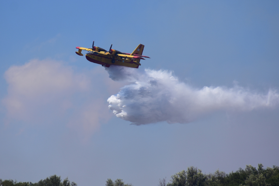 Φωτιά τώρα στη Μεσσηνία - 40 πυροσβέστες στην κατάσβεση