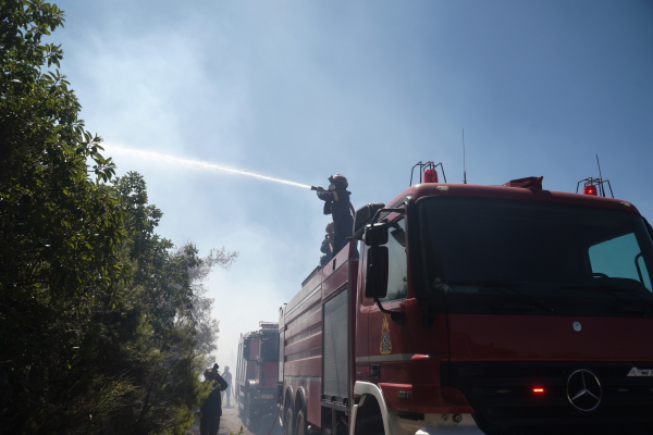 Φωτιά τώρα στην Πεντέλη: Μεγάλη κινητοποίηση της Πυροσβεστικής