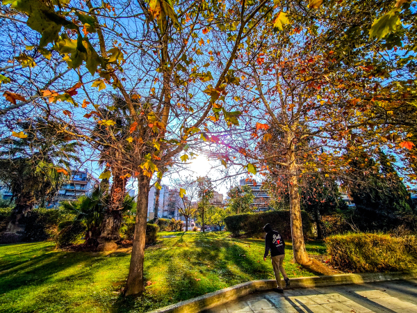 Πρωτοχρονιά με ανοιξιάτικο καιρό - Η πρόγνωση μέχρι το Σαββατοκύριακο