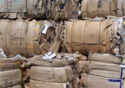 Πρόγραμμα ανακύκλωσης χαρτιού σε σχολεία και δημοτικά κτίρια από τον ΕΔΣΝΑ