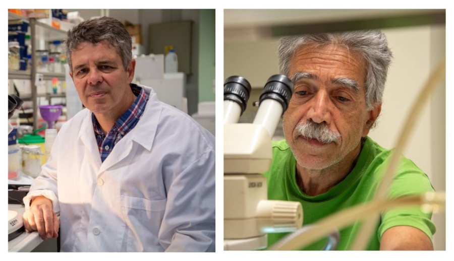 Δύο Έλληνες ερευνητές εκλέγονται στον Ευρωπαϊκό Οργανισμό Μοριακής Βιολογίας