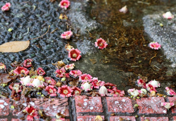 Από καλοκαίρι - φθινόπωρο σήμερα με πτώση της θερμοκρασίας