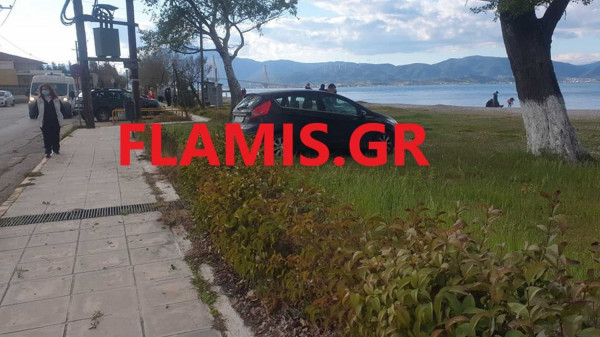 flamisgr