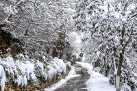 Χιόνια και μέσα στην Αθήνα - Τι δείχνουν τα στοιχεία, η πιο δύσκολη μέρα