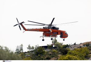 Φωτιά τώρα σε Εύβοια και Τύρναβο, μεγάλη κινητοποίηση της Πυροσβεστικής