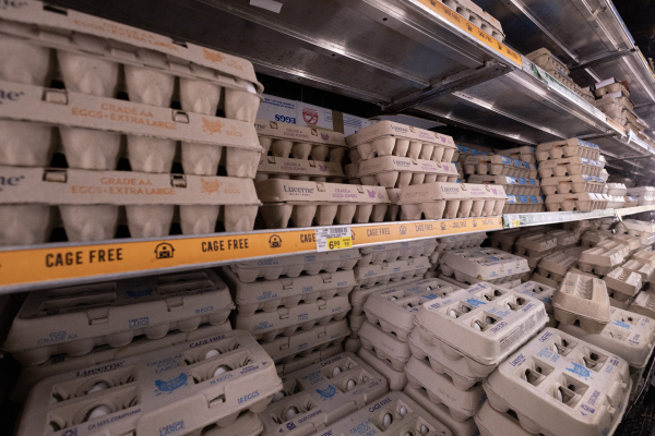 Παντοπωλεία βάζουν... πλαφόν στις αγορές αυγών - Στα ύψη οι τιμές