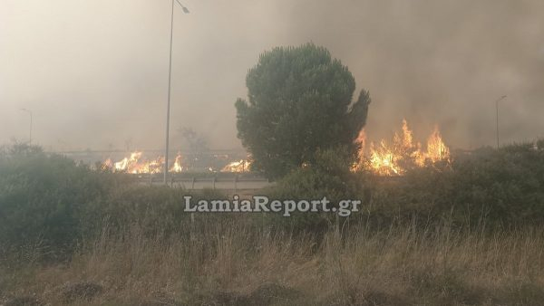 Φωτιά στη Βοιωτία: Έκλεισε η εθνική οδός από το Κάστρο μέχρι τη Θήβα