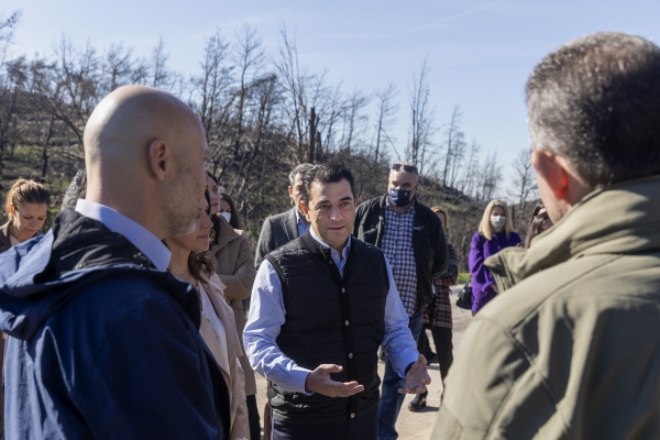 Παραδόθηκε το μεγαλύτερο έργο αποκατάστασης πυρόπληκτων περιοχών στην Αττική (βίντεο, φωτό)