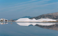 Επτά μνηστήρες για τις Ελληνικές Αλυκές