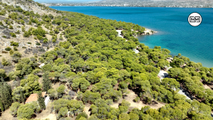 Σαλαμίνα: Μια ναυταθλητική ιστορία «κρυμμένη» στο δάσος της Φανερωμένης (video drone)