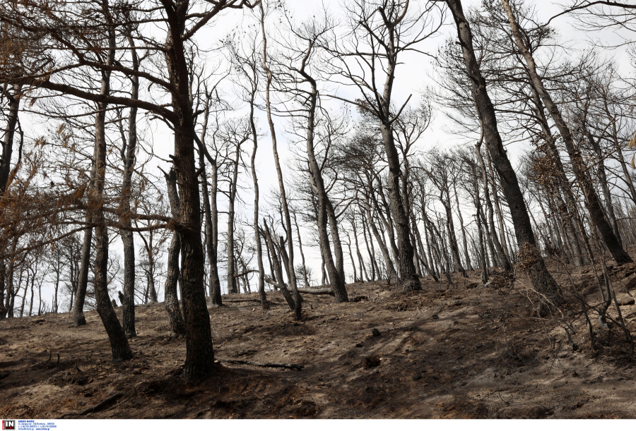 Έτσι κάψανε την Πάρνηθα οι εμπρηστές τον Αύγουστο, βίντεο ντοκουμέντο