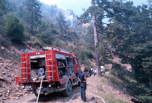 Οριοθετήθηκε η φωτιά στα Γρεβενά - Μια προσαγωγή